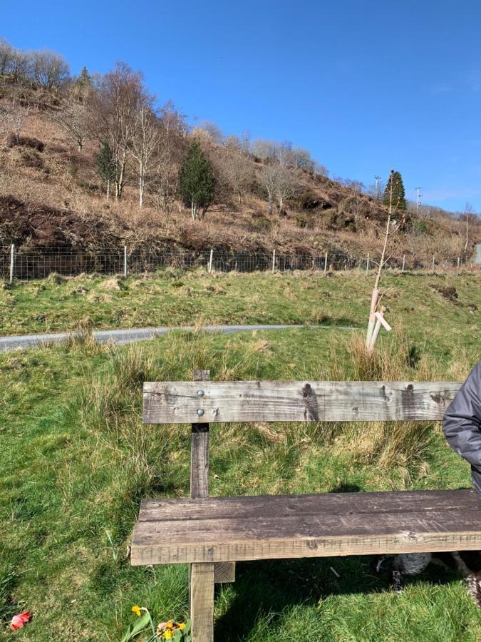 Snowdonia Rock Cottage - Cosy And Pet Friendly Penrhyndeudreath Εξωτερικό φωτογραφία